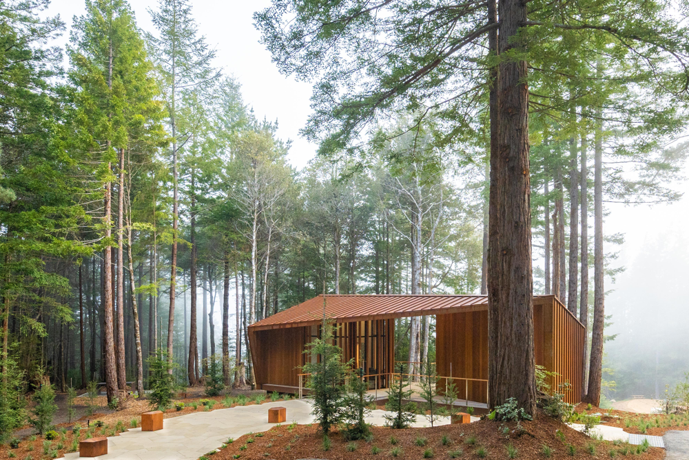 Point Arena Forest Cemetery