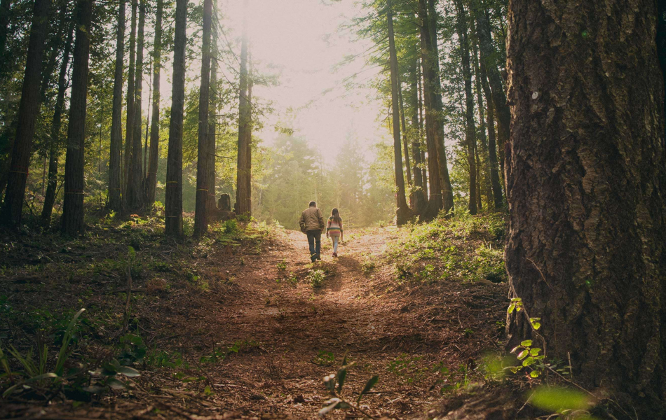 Sustainable Alternative to Cemeteries