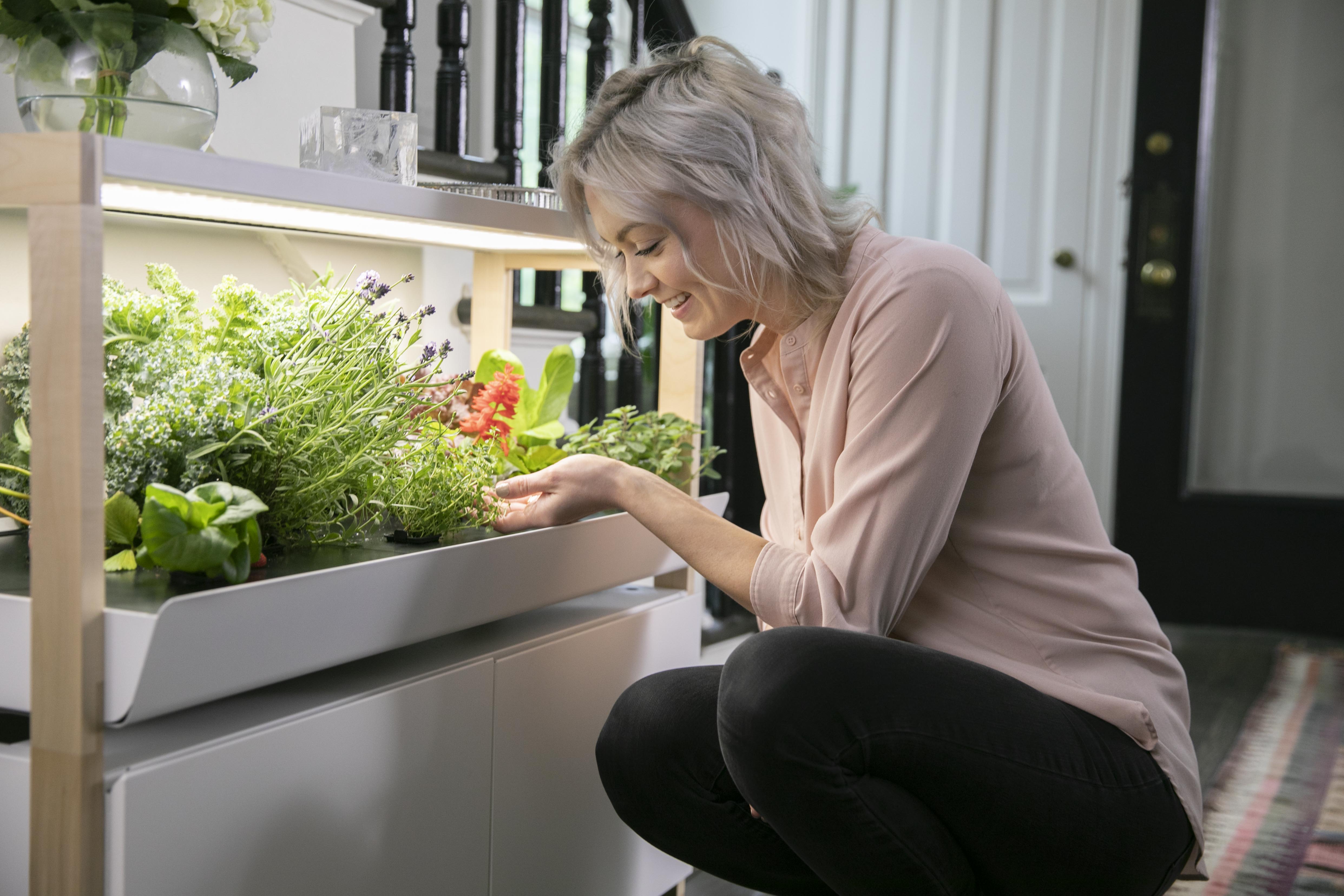 Indoor hydroponic gardens for growing produce and herbs