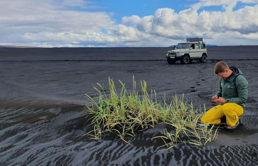 Researcher kneeling on black sand near grass with an off-road vehicle in the background.