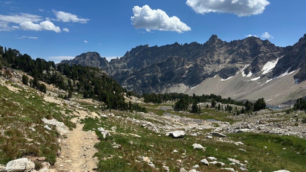 A rocky mountain trail winds through a grassy meadow with scattered trees, leading toward tall, rugged peaks under a blue sky with a few white clouds.