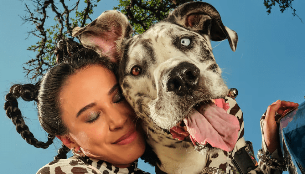 Modern Animal Pet Care